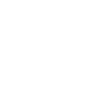BAY Logo